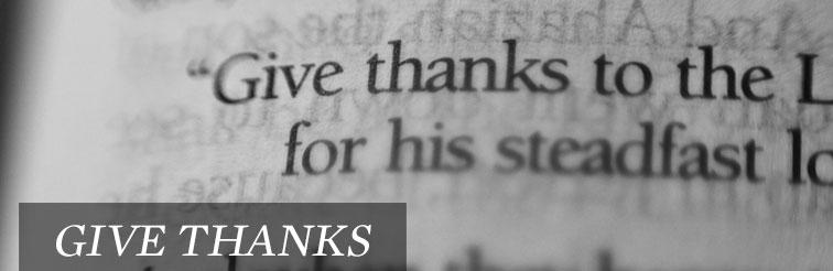 Give Thanks, by Tony D'Amico