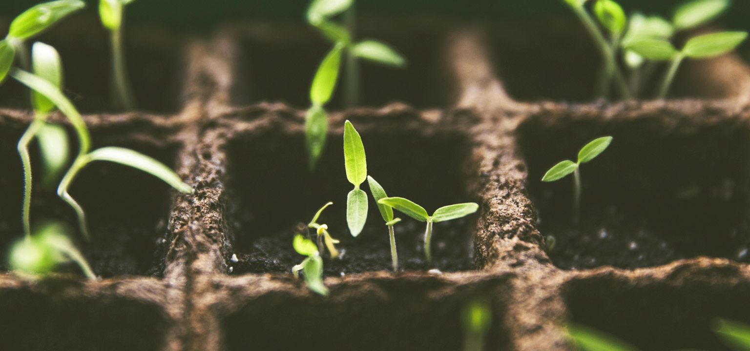 Harvest, A Word by Pastor Billy Johnson from The Rock Church in Utah