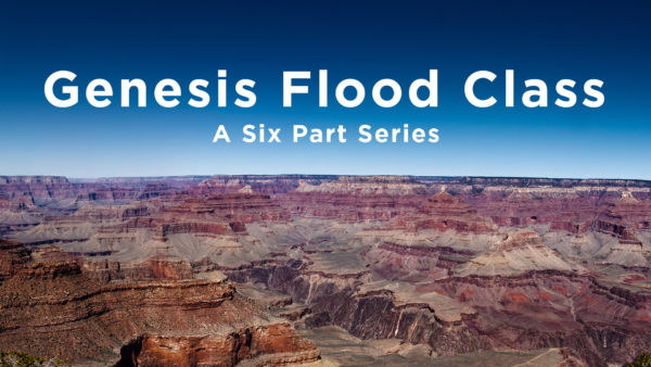 Genesis Flood Class Part Five Image