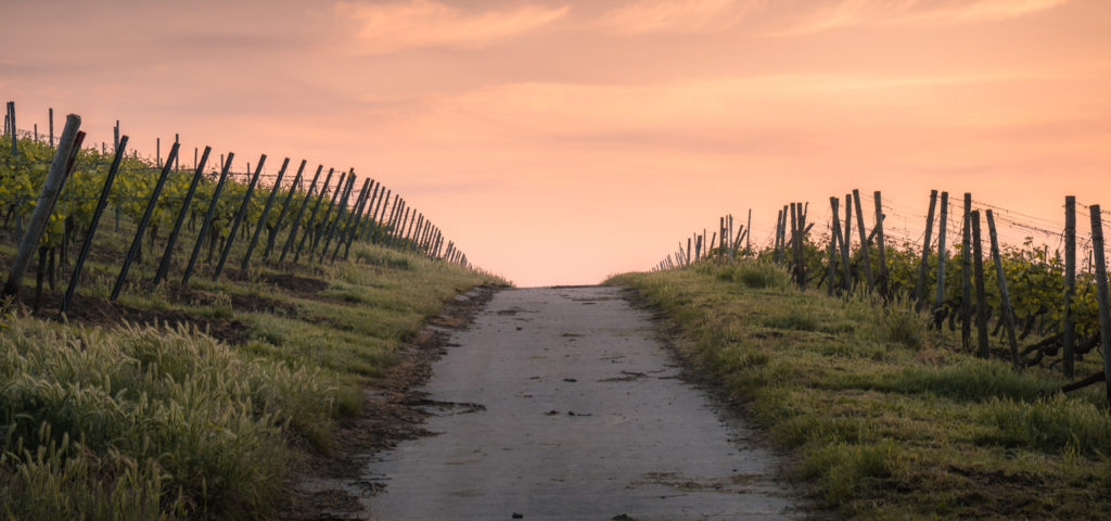 Joy in the Pursuit, a word by pastor Steele Croswhite from The Rock Church in Draper, Utah. "Instead, pursue righteous living, faithfulness, love, and peace. Enjoy the companionship of those who call on the Lord with pure hearts."