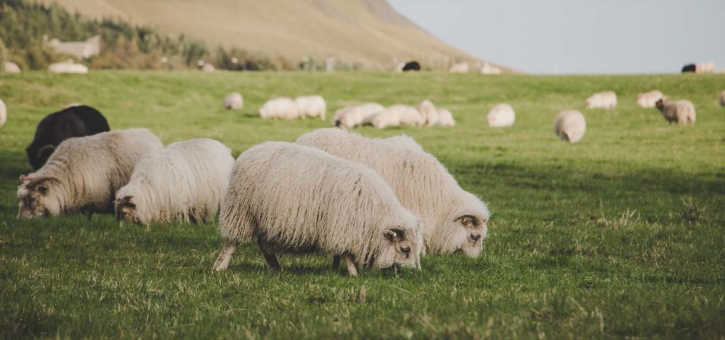 Follow – a word by Pastor Steve McInroy from The Rock Church in Draper, UT. "When I choose to follow Jesus (ahead of all the other things vying for my attention) I find a clarity not found anywhere else."