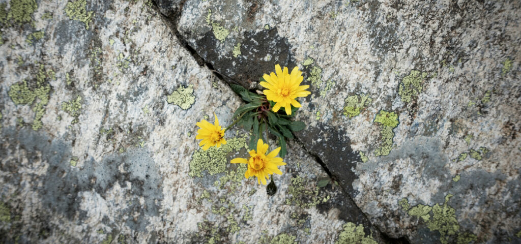 Feeling Stuck? — a word by Pastor Tony D'Amico from The Rock Church in Draper, UT. "if you’re feeling stuck—awesome! Seriously. It’s a sign that you’re paying attention. the Lord is trying to shake something up in your life."