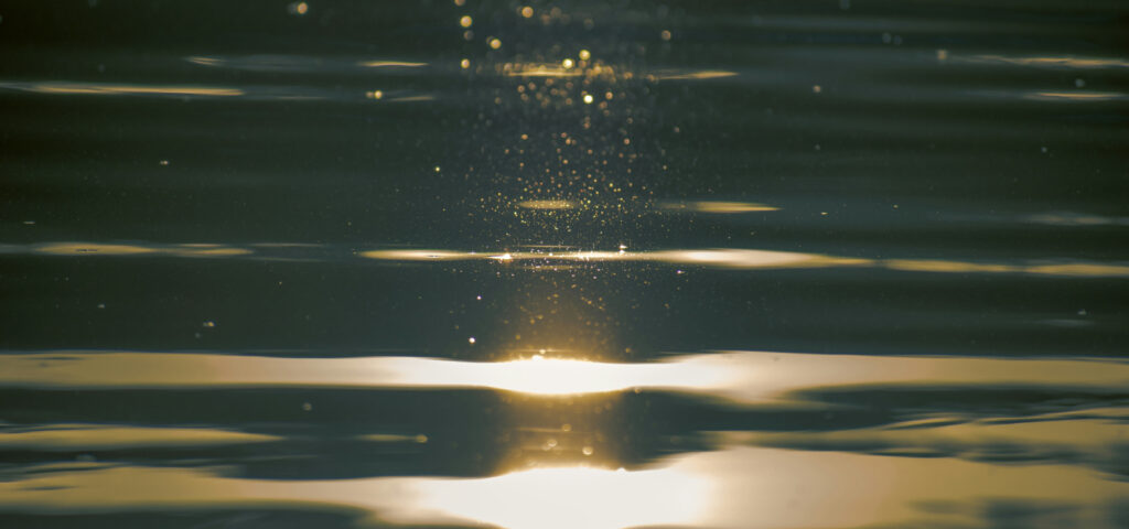 To See His Glory is to See His Goodness  — a word by Pastor Steele Croswhite from The Rock Church in Draper, UT. "to see His goodness. To see a God who bends toward sinners with mercy. One who always moves toward the broken with grace."