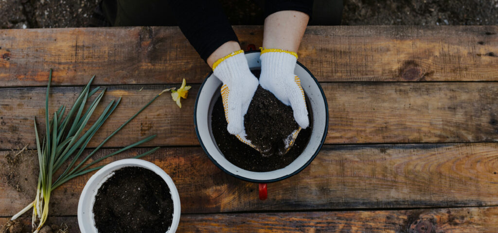 The Difference is the Soil — a word by Pastor Tony D'Amico from The Rock Church in Draper, UT. "The seed is not the problem. Nor is the farmer the problem. The difference is the soil."